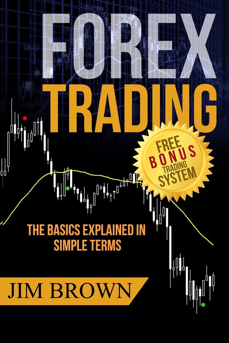 The Black Book of Forex Trading by Paul Langer