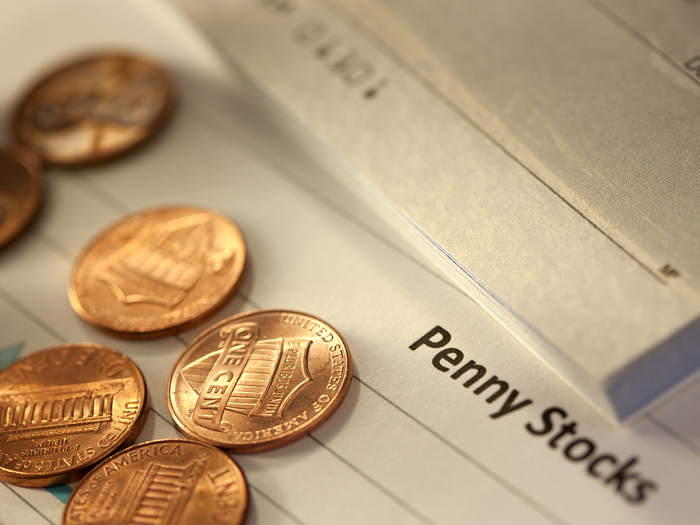 How beginner friendly is Penny Stock Investment