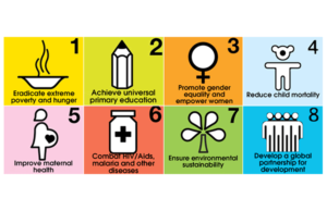 Millennium Development Goals (MGDs)
