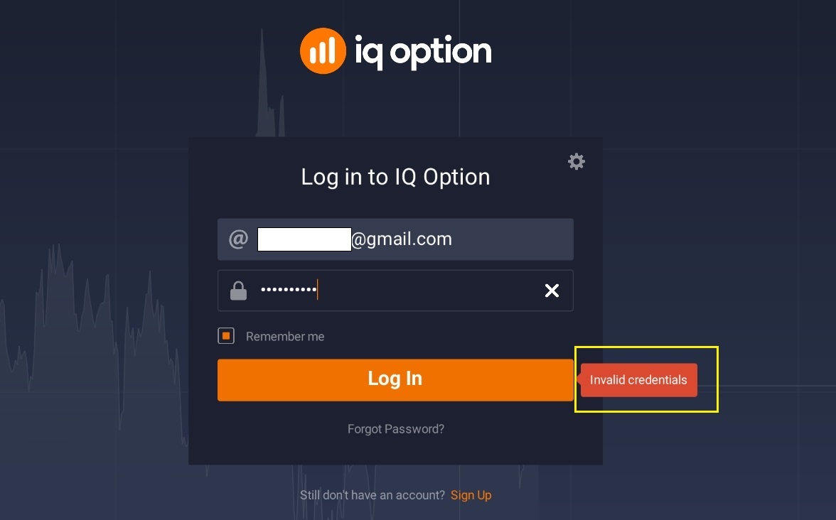 Common IQ Option Login Problems With Solutions